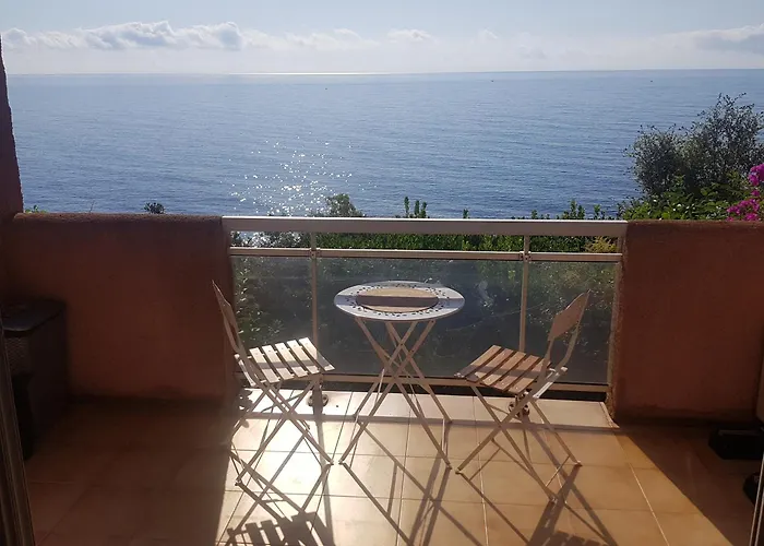 度假居 Mini Front De Gionnello 孔卡