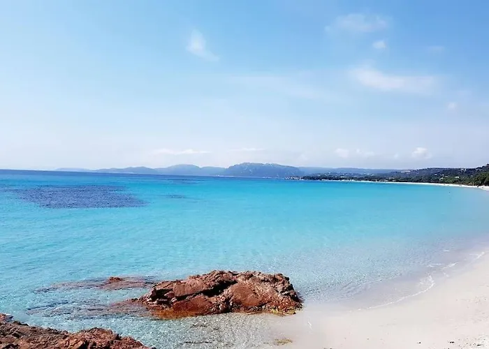 度假居 Mini Front De Gionnello 孔卡